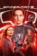 Spider Man 3 (2007) (Hindi + English) Dual Audio Hollywood Movie BluRay HD ESub